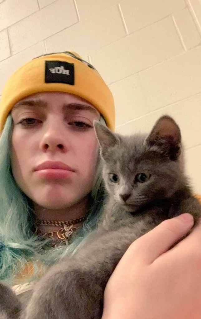 billiearteilish's tweet photo. So cute https://t.co/D9eO9G9gnu