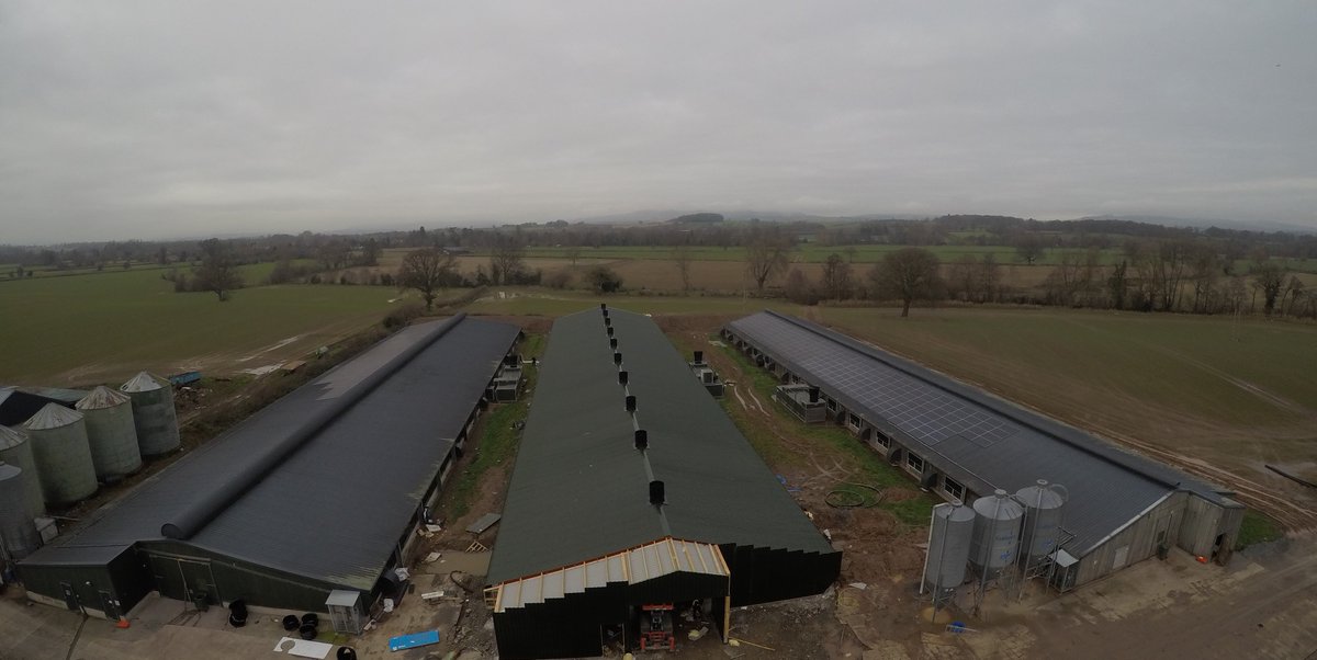 Great progress on this knock down rebuild broiler project birds in early 2019
<a href="/Powell_Ltd/">Powell & Co Construction Ltd</a> <a href="/ConnopConcrete/">Connop & Son</a> <a href="/HATO_lighting/">HATO Agricultural Lighting</a> <a href="/tpipolytechniek/">TPI Polytechniek</a>