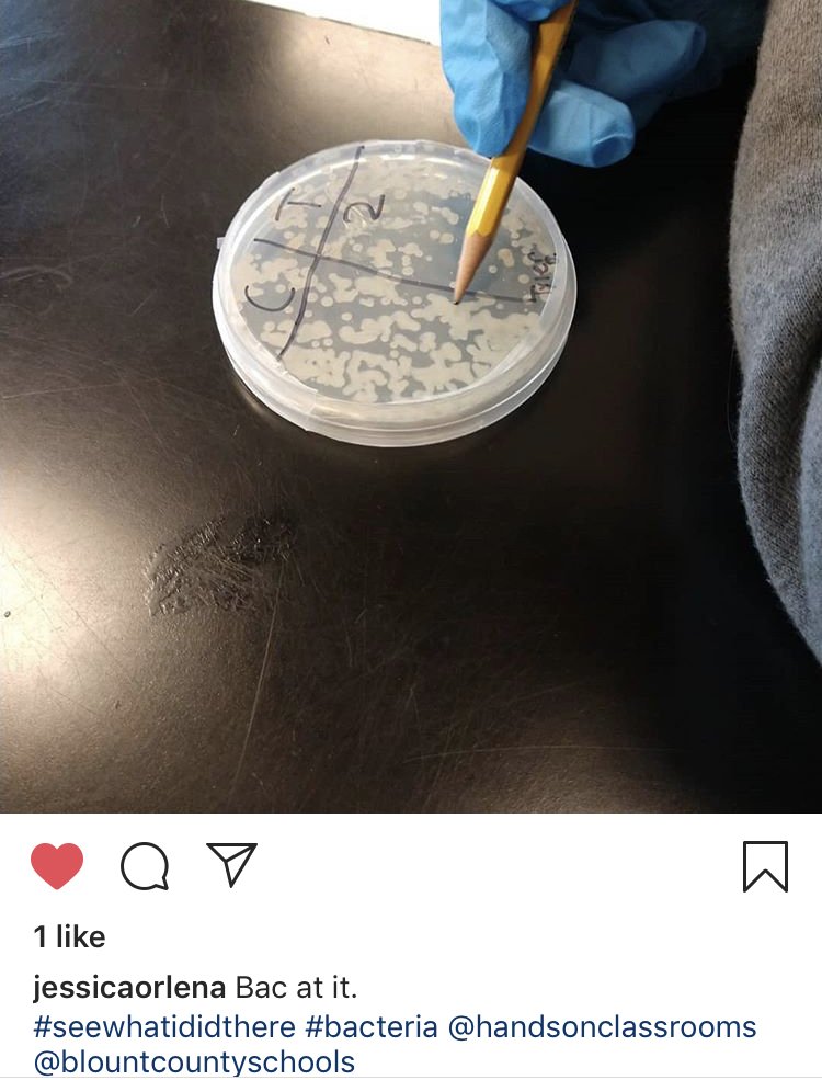 HandsOn_Class's tweet photo. Students in Blount County, Tennessee are spending some time before the holiday break learning about food safety!  Thanks UT / TSU Extension - Blount County for sharing this excellent photo! https://t.co/RWivbl7IM7