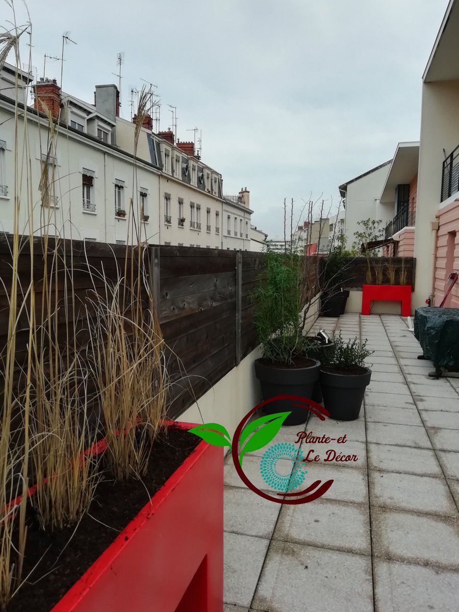 Planteetledecor's tweet photo. Dernier projet de l'année avant les fêtes. 🎄
N'hésitez pas à nous contacter pour le printemps, notre agenda se remplit rapidement. #lyon #paysagiste #vert #lumieres #vondom #froid #noel @VONDOMSpain @jardin_chic @villedelyon  @grandlyon  @TLMLyon https://t.co/vCiazx1aye