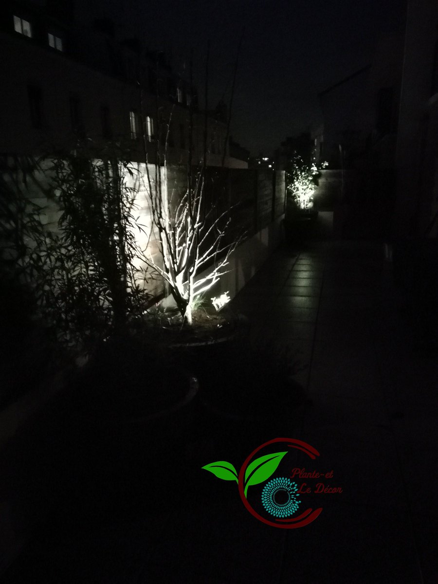 Dernier projet de l'année avant les fêtes. 🎄
N'hésitez pas à nous contacter pour le printemps, notre agenda se remplit rapidement. #lyon #paysagiste #vert #lumieres #vondom #froid #noel <a href="/VONDOMSpain/">Vondom | Outdoor Furniture</a> <a href="/jardin_chic/">JardinChic</a> <a href="/villedelyon/">Ville de Lyon</a>  <a href="/grandlyon/">Métropole de Lyon</a>  @TLMLyon