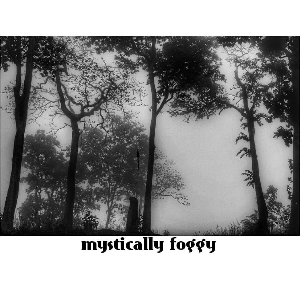 || Kabirdham ||
Misty mornings are a bliss for any soul. Have you walked down the streets or the woods in a winter morning?

To know more about the various tourist sites and the tribes of Kabirdham district, kindly visit kabirdhamtourism.com
#kabirdhamtourism #kawardha #wowCG