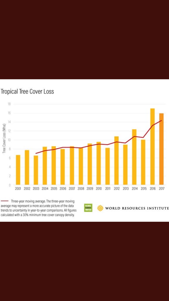 grReforestation's tweet photo. Tropical deforestation remains at record levels, despite global progress https://t.co/FCIcjJLADd #environment https://t.co/dUzR3kKKfv