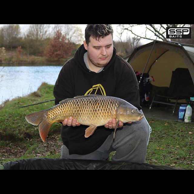 SSP Baits tweet media