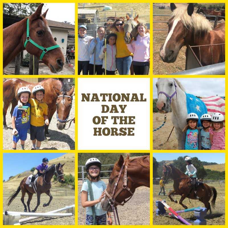 roughingitcamp's tweet image. Happy National Day of the Horse! 
#RIDC #RoughingItDayCamp #NationalDayOfTheHorse