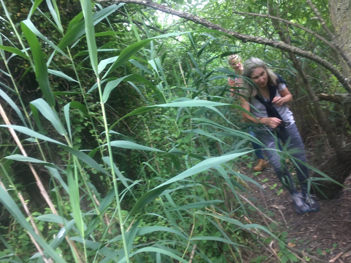 PPEHLab's tweet photo. On this chilly Dec morning, check out our field notes page [https://t.co/8mlCTHP933] for a retrospective on the warmer days of the June #OnWaterIntensive  @Ann_de_Forest reflects on the discoveries &amp; disorientations of a #WalkAround Mingo creek in #Eastwick #Philadelphia #EnvHum https://t.co/nGYFOgehNz