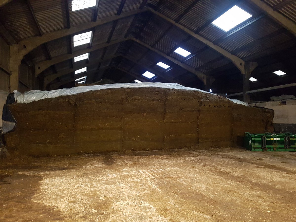 William Jones tweet media