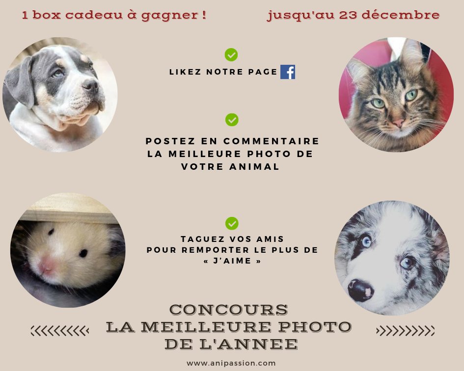 Participez à notre Concours Photo avec la meilleure photo de votre animal de cette année ! 
facebook.com/anipassioncom/…