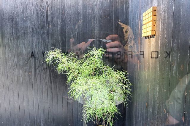 Made a little video 🎥 about Koffee Mameya, formerly Omotesando Koffee. Check the link in the bio!
#coffeeshots #cafewalk #tokyotravel #omotesando #omotesandokoffee #dripcoffee #reflections #japan #coffee#tokyocoffee #specialtycoffee #coffee #cafe #traveljapan