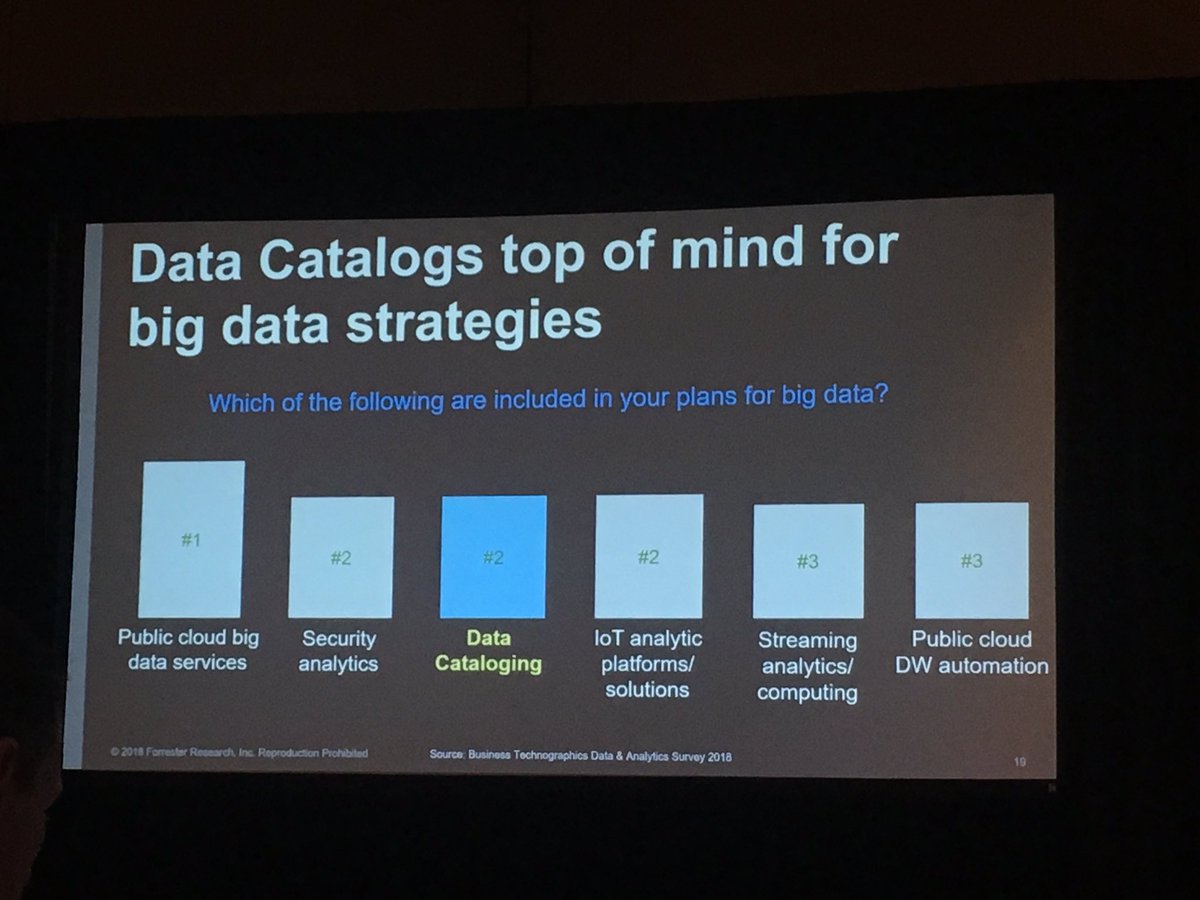 forrester wave machine learning data catalogs