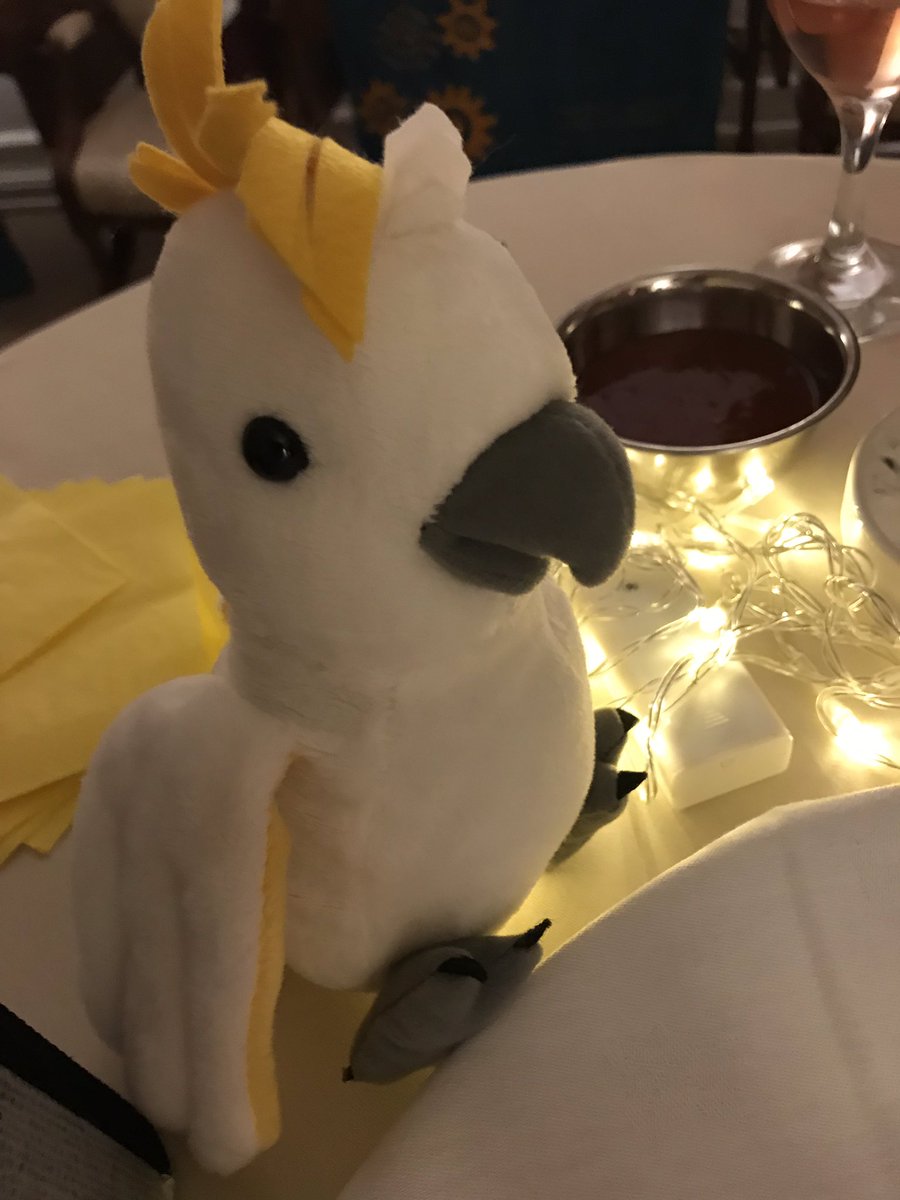 IAAssociation's tweet image. Beautiful tree, great Aussie food and wine and wonderful hosts @AusEmbIre merry Christmas and well done on a great 2018!