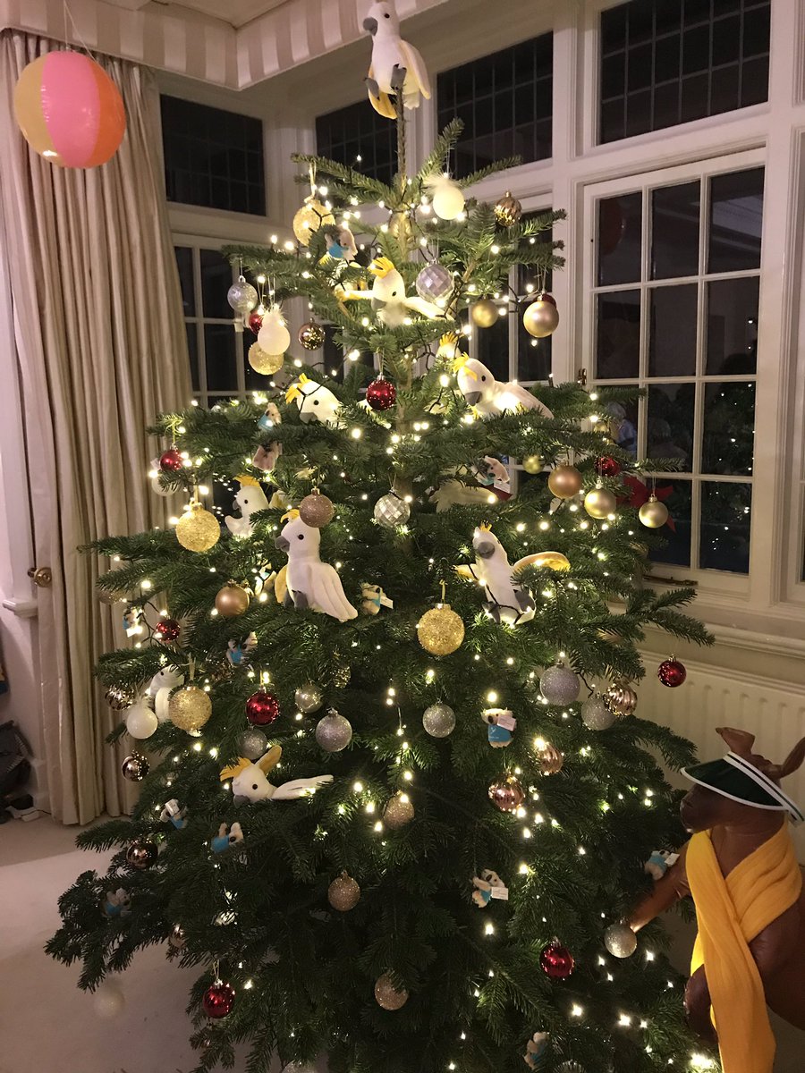 IAAssociation's tweet image. Beautiful tree, great Aussie food and wine and wonderful hosts @AusEmbIre merry Christmas and well done on a great 2018!