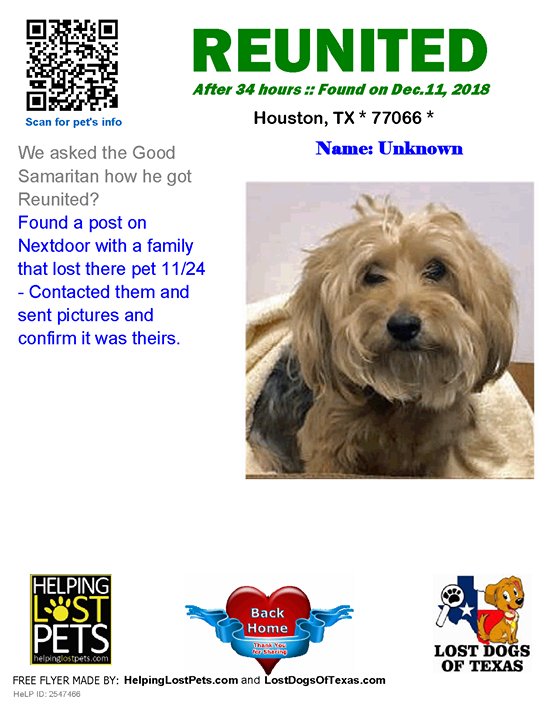 Pet Recovery Homeagain Number Homeagain Microchip Home Again Lost