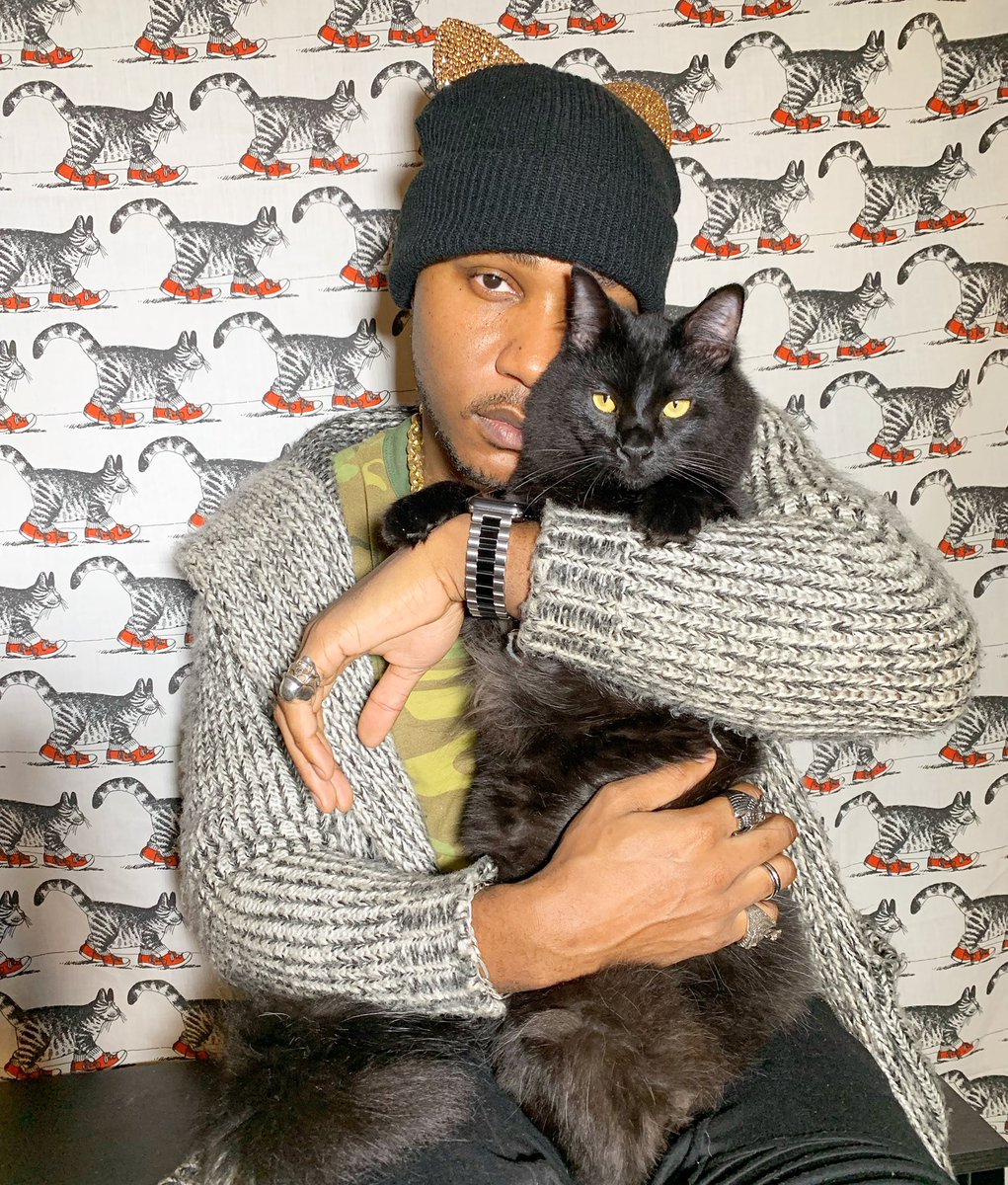 iAmMoshow - The Cat Rapper ™ tweet media