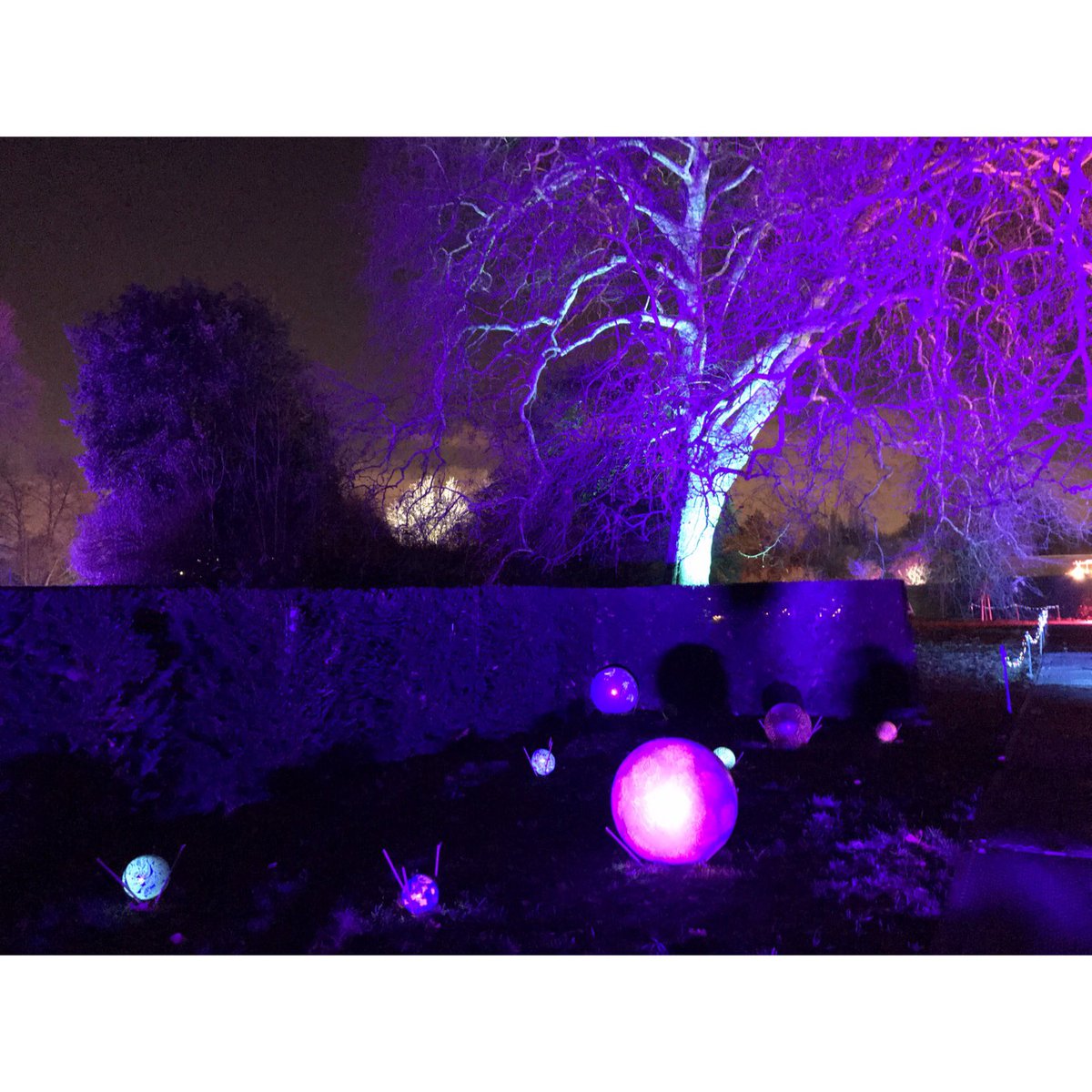 HIGHLY recommended ✨⭐️🎄 The magical wonderful Christmas lights @ElthamPalace #localexperience #beautifulvenue