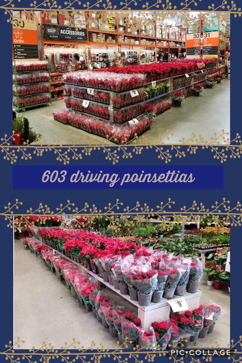 Gunning for that #1 spot. Great job MASM Will, DS Cristian &amp; Altman’s Rep Manny!! #Points-R-Us #ChristmasCountdown ⁦@YoAleman_THD⁩ ⁦<a href="/TustinHomeDepot/">Home Depot - Tustin #603</a>⁩ ⁦<a href="/Jaime_HD_D25/">Jaime Castillo</a>⁩ ⁦<a href="/Steven_Mousseau/">Steven Mousseau</a>⁩