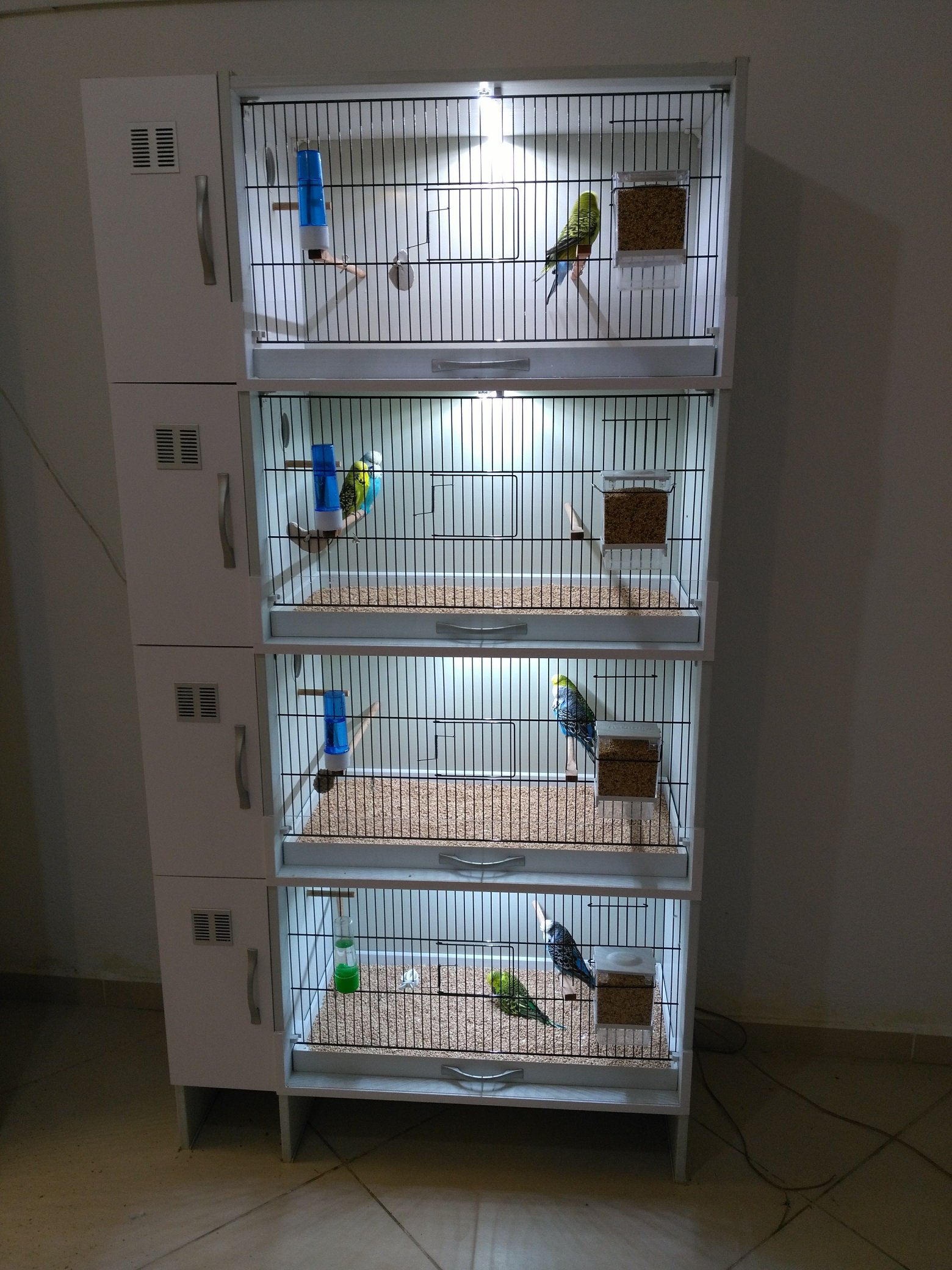 Pvc Kafesve Yuvalik Pvckafesyuvalik Twitter