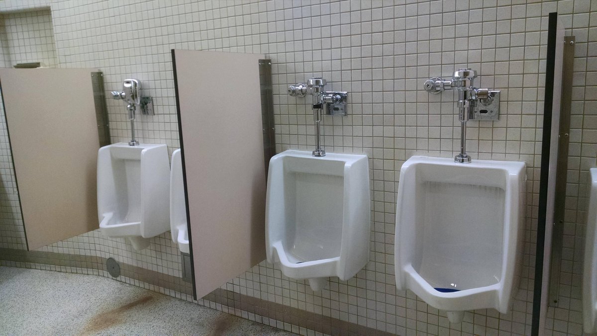 PaddedPilot tweet media