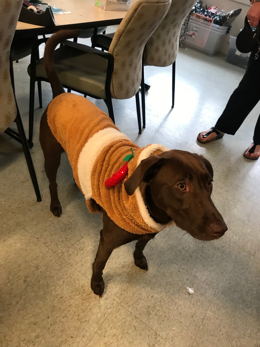 Edgehill Community tweet media