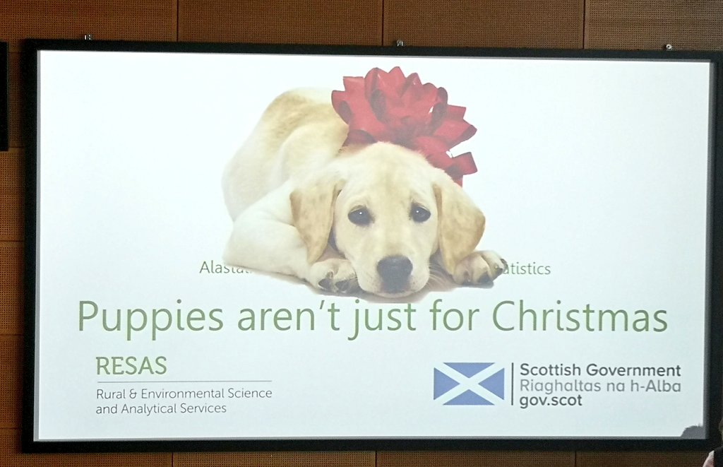 ZarahPattison's tweet photo. Puppies aren't just for #xmas and #statistics aren't just for publication day! Better deliver impact with statistics by understanding users. @ScotStat @scotgov #RESAS https://t.co/d7R7cC8V3O