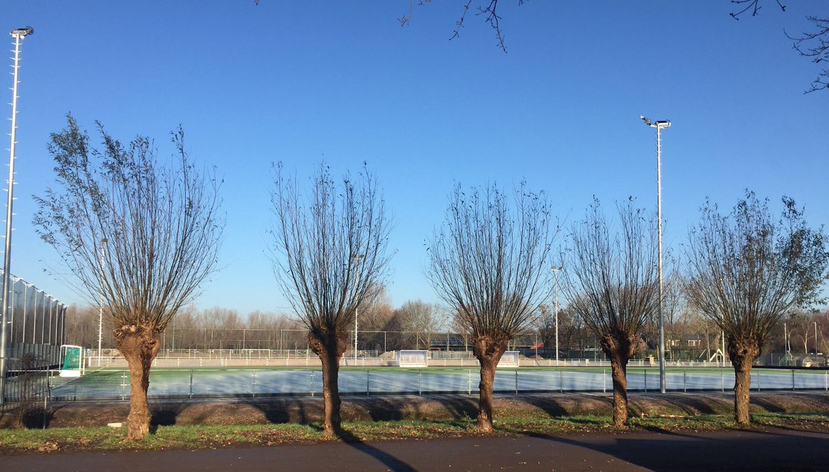 IngeHuuskes's tweet photo. Mooi hocheyveldje #hcleerdam. Nog even en we kunnen schaatsen⛸ https://t.co/BHIlzJNAQ4