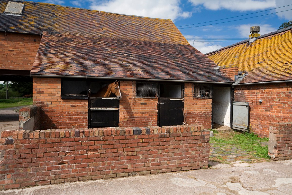 Do you insure your stables?

Give us a call on 0345 230 2323 for a quote or go to bit.ly/StableInsurance
