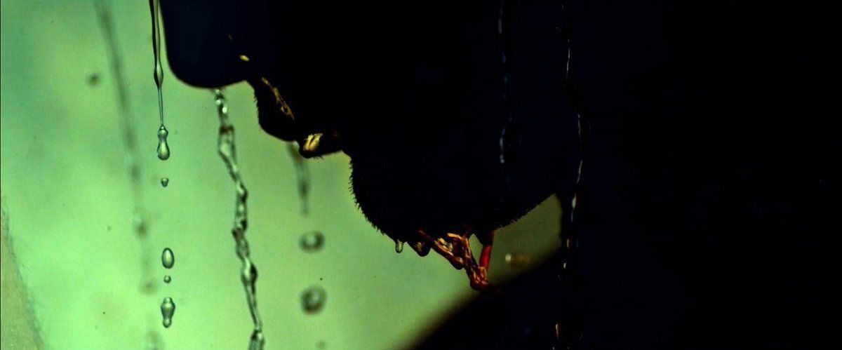 One Perfect Shot tweet media