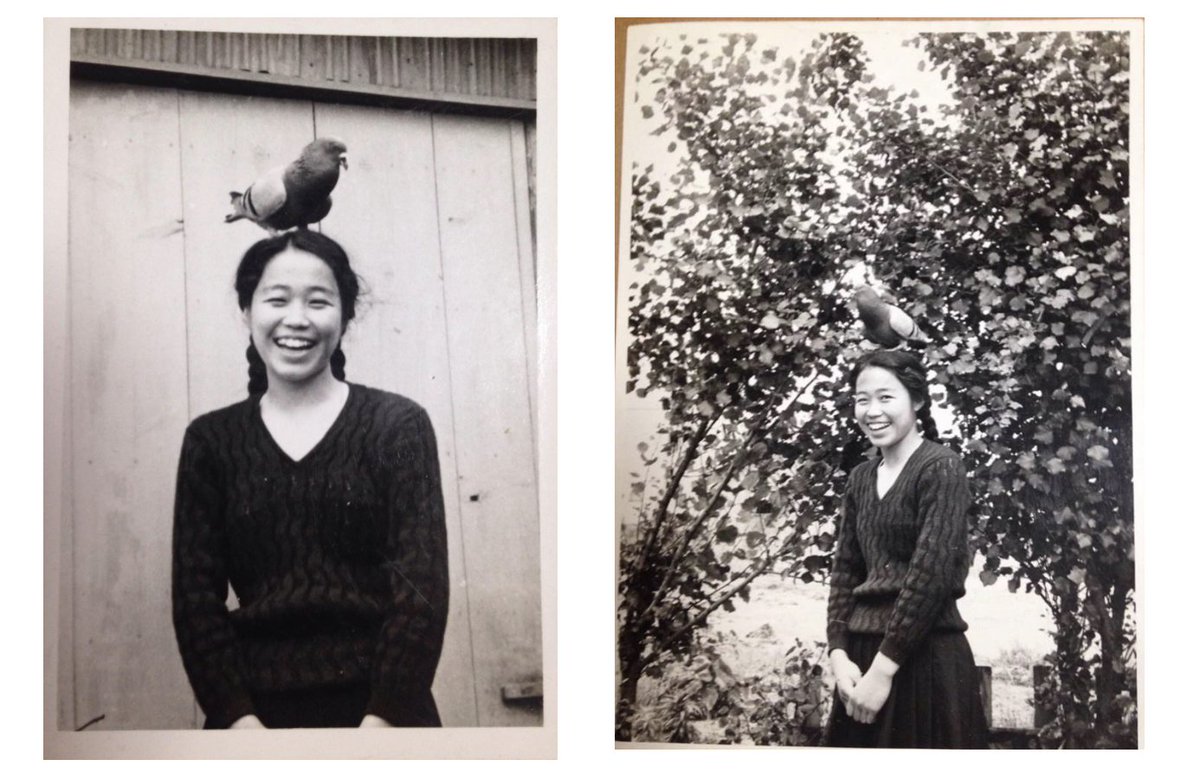 Emi Noguchi 野口恵美 tweet media