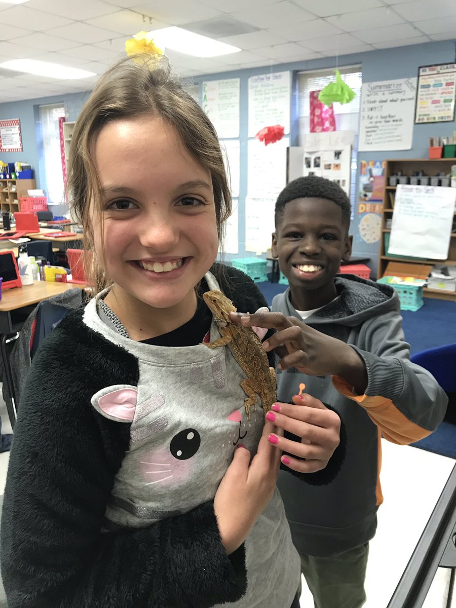 JessicaNewhart's tweet photo. Orange loved having these two visitors from @MrsAndersen308 ‘s class today. Working hard for special rewards! #BeTheOnePinckney @chpinckneyelem @PetsinClassroom https://t.co/fXtzPRoGB1