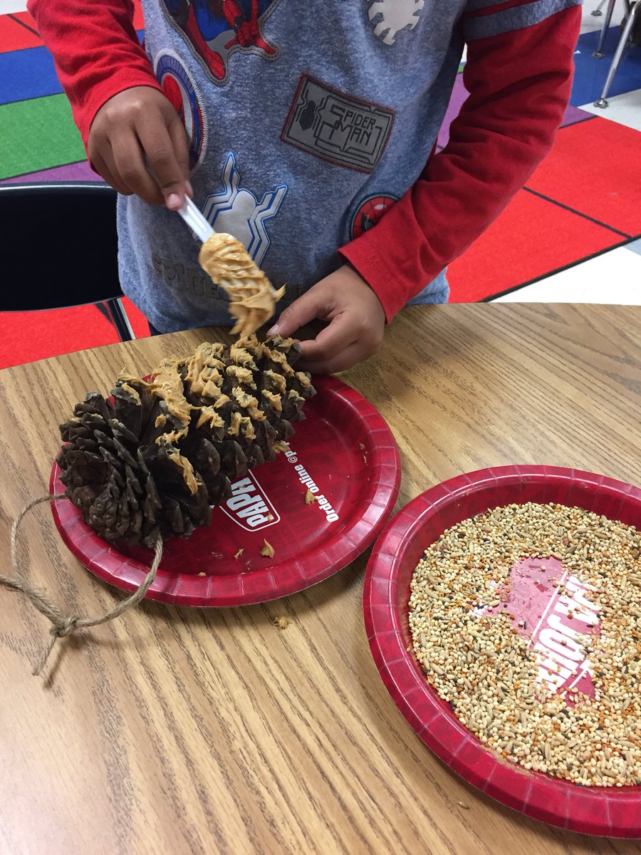 JennyWalters201's tweet image. We can... be kind to animals! Thank you @Crystalanna for the pine cones! #CodingtonCares #NHCSchat @g_elmore8