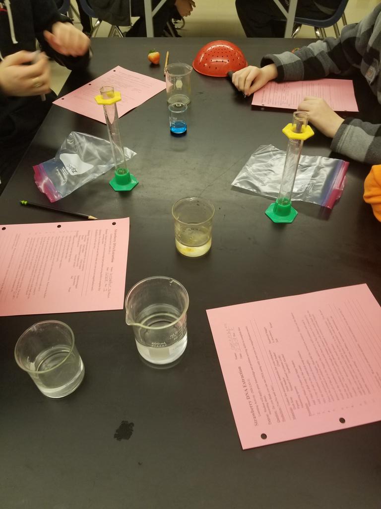 DamianCrowson's tweet photo. EPMS is working hard! From PE, to gallery walks, to science experiments, to Nearpod. #epsd9 #wearepanthers https://t.co/hgQXY60aqA