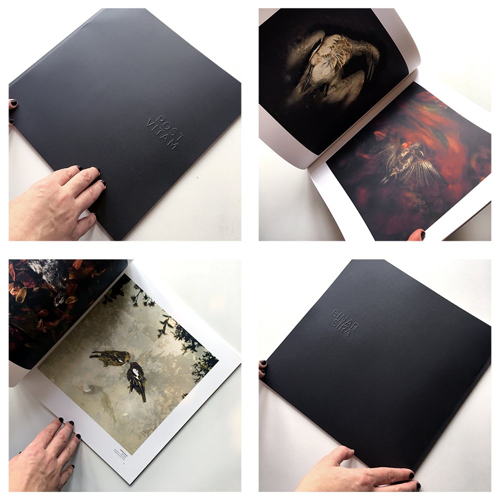 It's our #CountdowntoChristmas and there's just #7days left to go! If you're still doing last minute #xmasshopping <a href="/einarsira/">Einar Sira</a>'s beautiful catalogue 'Post Vitam' is available to purchase for just £15 + P&amp;P #einarsira #postvitam #stilllife #birds #lifeanddeath #nature #photobook