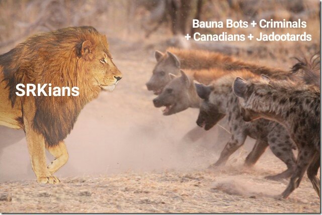 HUNTER__SINGH's tweet image. O gidra da suneya group firda
O kehnde Sher maarna 
#8DaysToZero