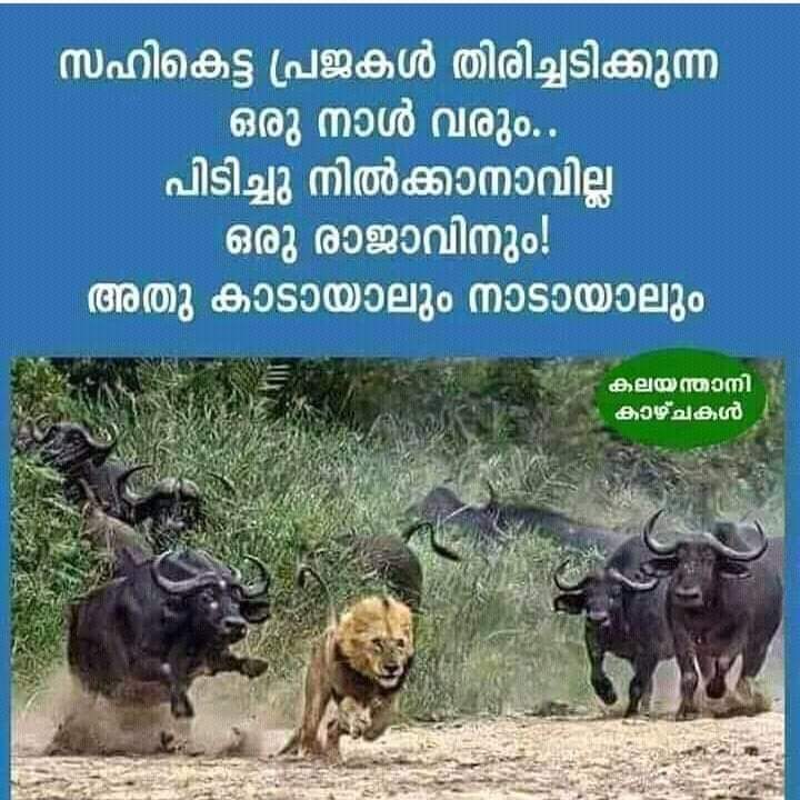 SureshkumarSR6's tweet image. 