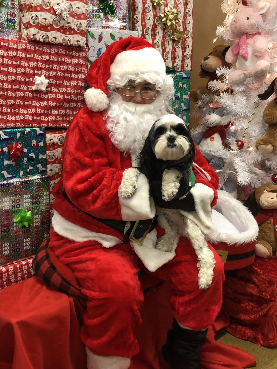 albo2013's tweet photo. @dog_rates @dog_feelings https://t.co/V9pTgGYnLc