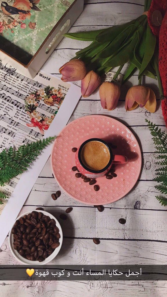 𝚜𝚑𝚛𝚘𝚘𝚐 📸 tweet media