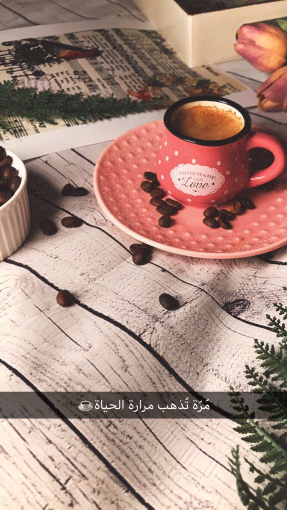 𝚜𝚑𝚛𝚘𝚘𝚐 📸 tweet media