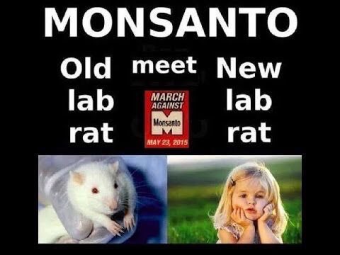 8extremes's tweet photo. Decades of deceptionMonsanto
GUILTY w MALICE
Manipulating RegulatoryAgencies
& Public Officials
Ghostwriting ScientificArticles
Corrupting science
Misleading Farmers & Consumers
Omits Facts
& Contaminates Air Water Soil & Food w NO Remorse
#abtTHAT #monsantoKNEW #BayerLiability https://t.co/n0unlTva7Y
