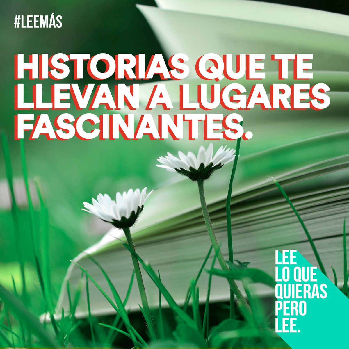 Lee lo que quieras tweet media