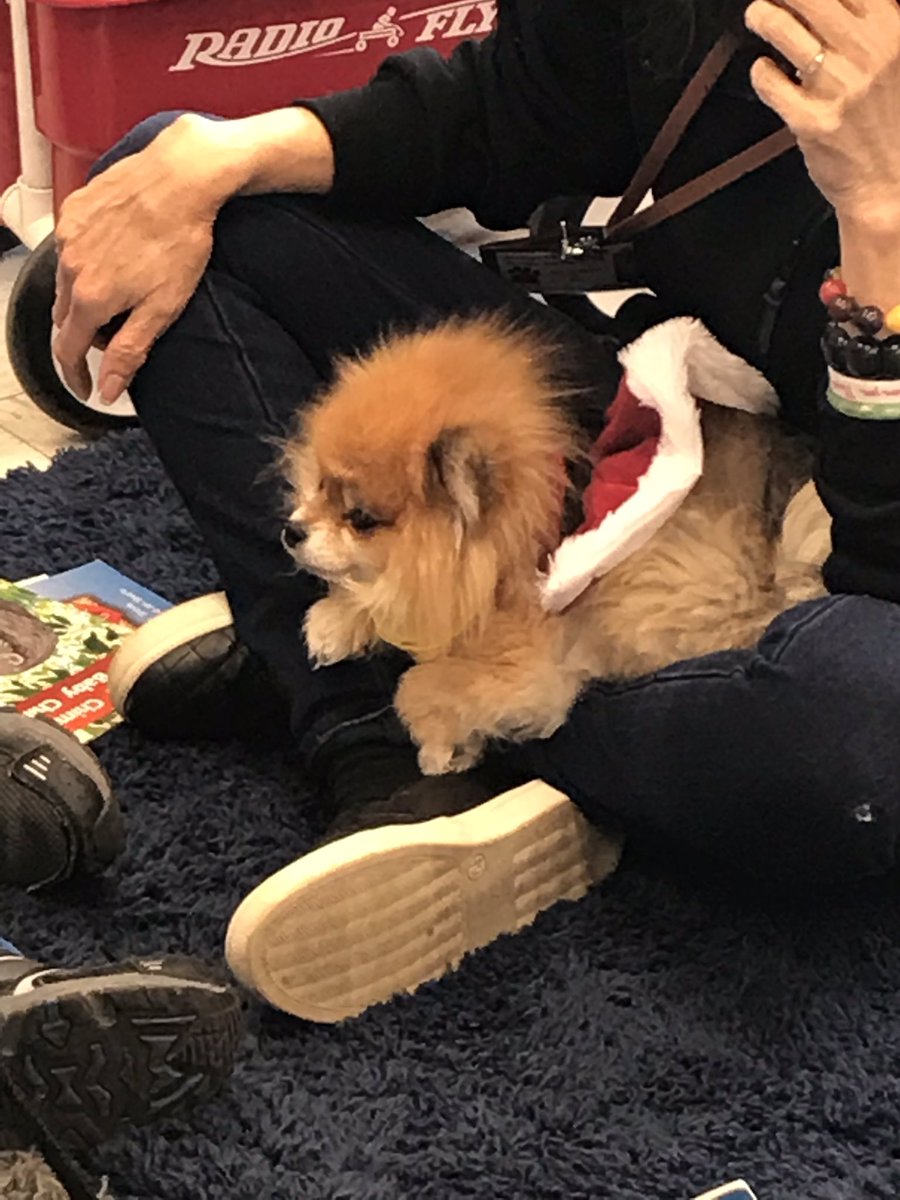 LWYReading's tweet photo. The Kpet Therapy dogs are back! The students love to read to them! # esedwyasd https://t.co/rBQ2kE5GOz