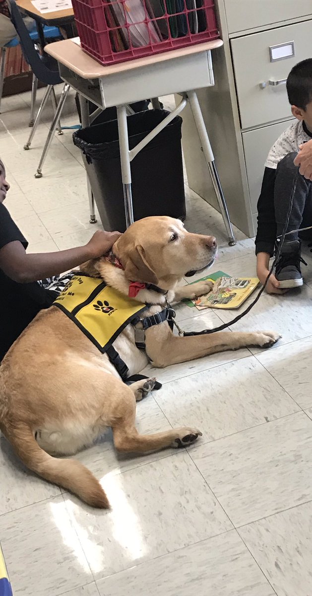 LWYReading's tweet photo. The Kpet Therapy dogs are back! The students love to read to them! # esedwyasd https://t.co/rBQ2kE5GOz