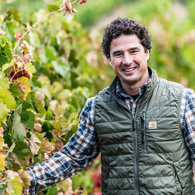 VinfluenceWine's tweet photo. #tbt to last month’s featured #winery domenica_amato_wine 😍🍷 Have you tried your #wineclub shipment yet? #Winemaker Michael Scorsone’s 2010 #PinotNoir is drinking fantastically right now! https://t.co/2BDo4GCyEm https://t.co/rLrMRlKhuV