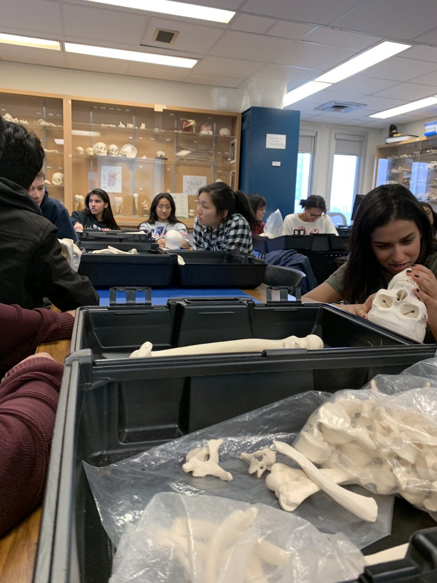 msgill_peel's tweet photo. HSP3U Ss take on @McMasterU as they get a hands on experience with Anthropology! Future archaeologists getting authentic experiences! @TLKLife #PeelEML #modelsoflearning @PeelEML https://t.co/7aU5t2Xo5Q