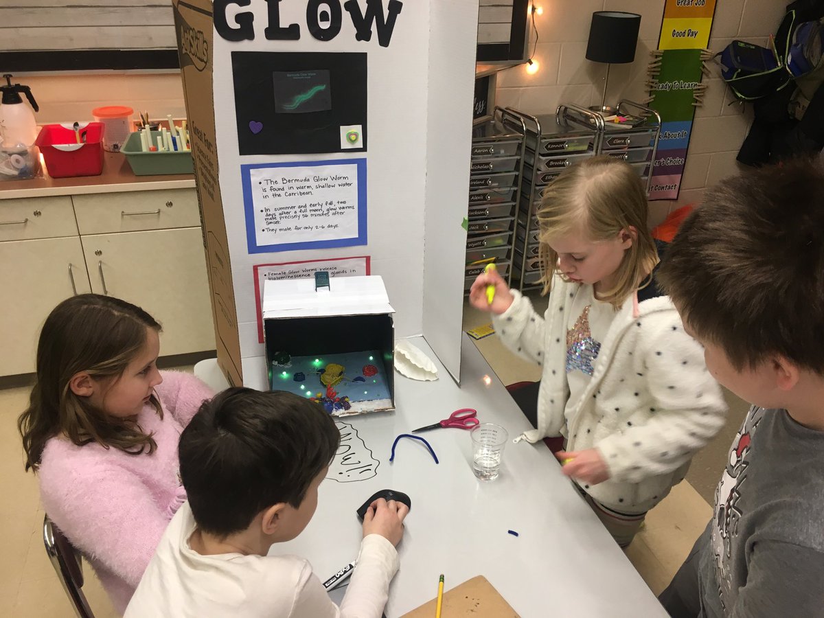 GoBicEagles's tweet photo. Light and Sound Waves project based learning presentations. Great work students. #gobiceagles ⁦@MolineCVSchools⁩ https://t.co/bsSaSm3RIW