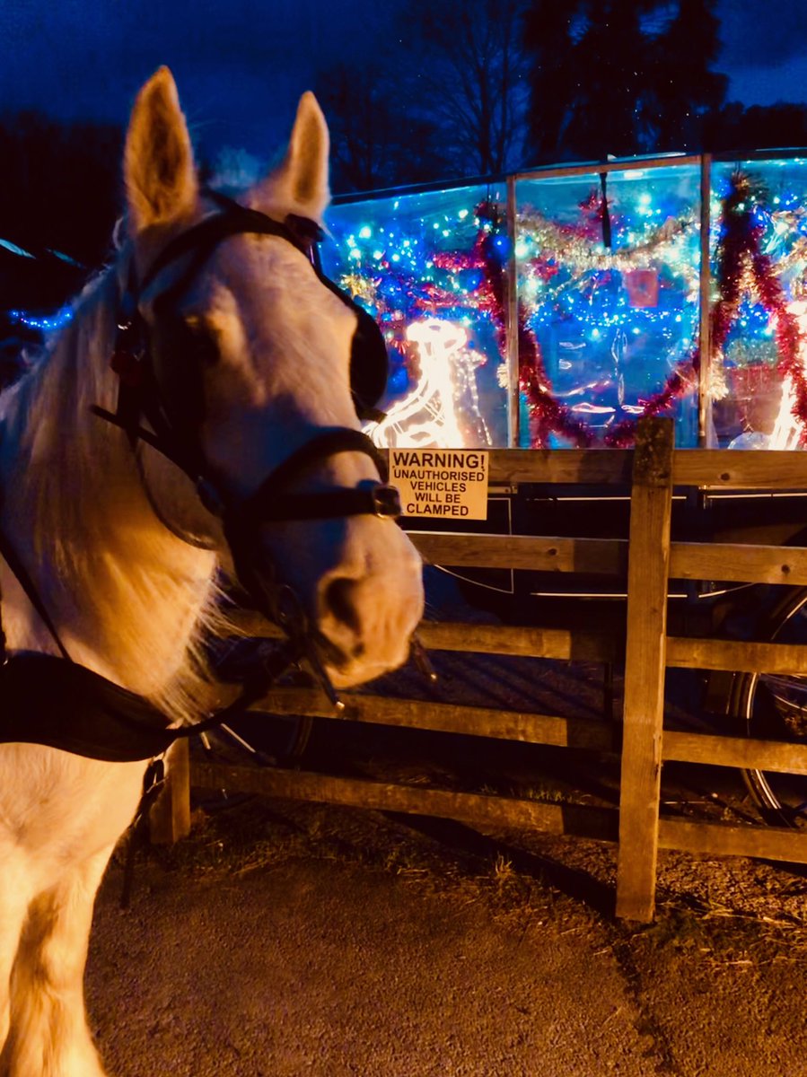 K & H Carriages tweet media