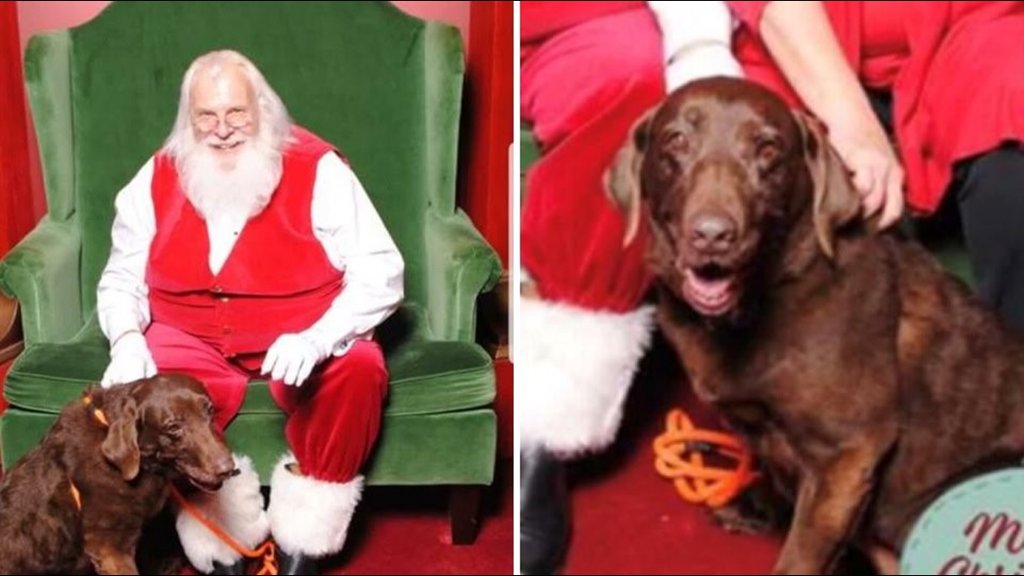 Christmas Miracle 🎄 | Santa finds his lost dog 🎅🐶 on.11alive.com/2QuFo67 https://t.co/95bkJYtDyK