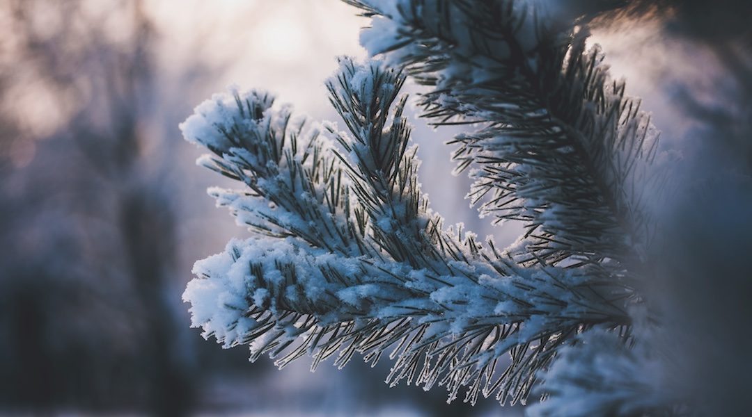 Provincetown's Winter Women's Wonderland ow.ly/VYpS30mXBF2