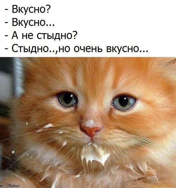 Очень вкусно прикольные картинки