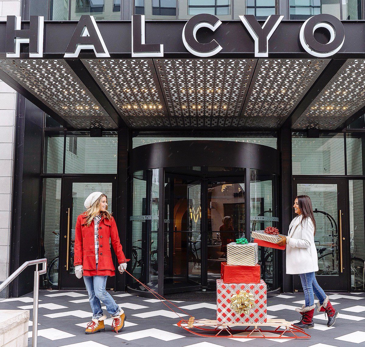 HalcyonCherryCreek tweet media