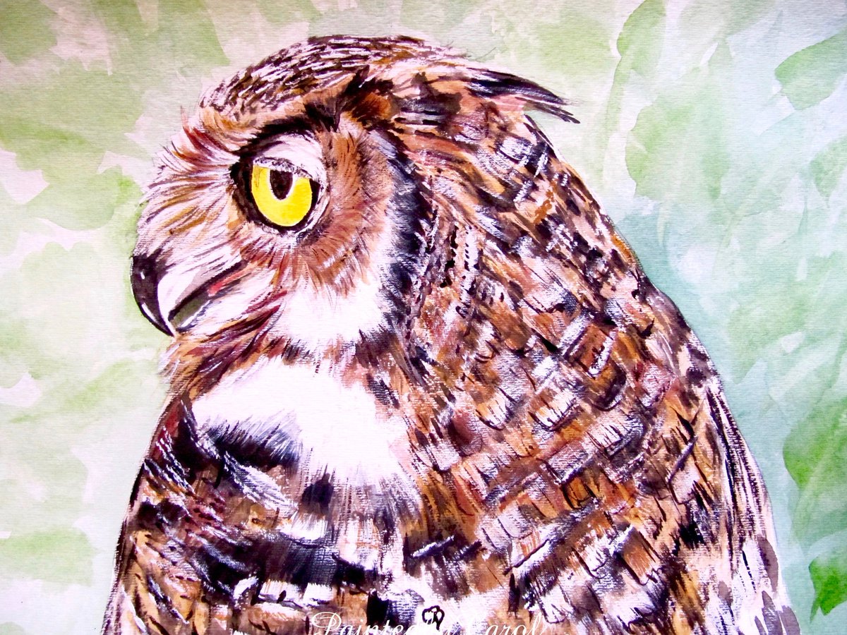 Owl Original Watercolor Painting, Painting of Owl, Owl Watercolor, Watercolor Owl, Owl Painting, Owl Original Art, Owl Artwork, Owl Wall Art etsy.me/2F2659p #Etsy #PaintedbyCarol #BarnOwlPainting